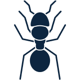 Ants